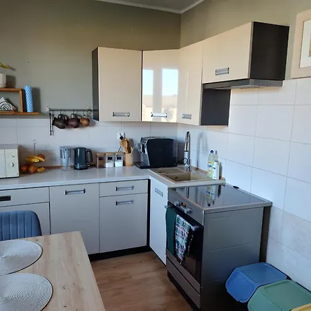U Krysi Apartament *